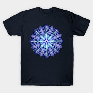 Winter - Lace, Feathers and Hat Pins T-Shirt